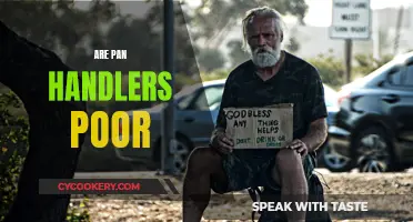 The Truth About Panhandlers: Poor or Not?
