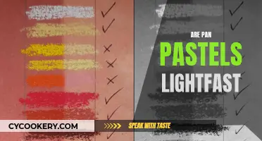 Pan Pastels: Lightfast and Long-lasting Art Supplies?
