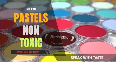 Pan Pastels: Are They Non-Toxic and Safe to Use?