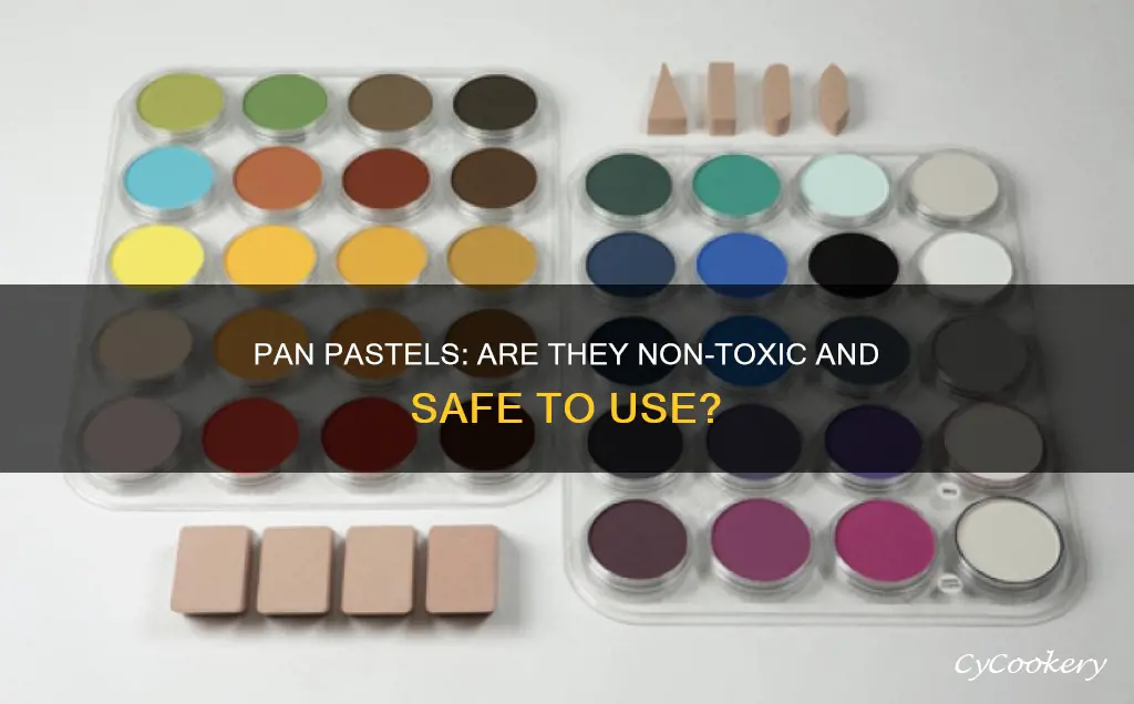 are pan pastels non toxic