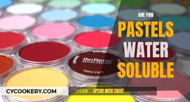 Pan Pastels: Water-Soluble or Not?