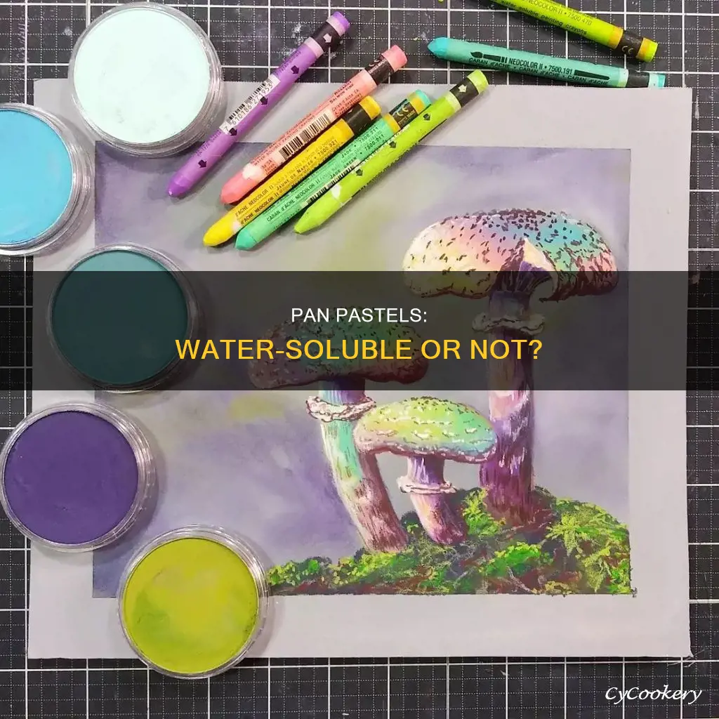 are pan pastels water soluble
