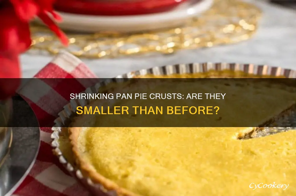 are pan pie crusts smaller than they uses to be