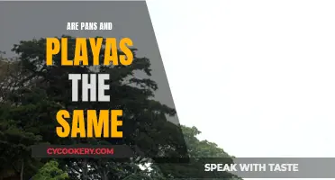 Playas and Pans: What's the Difference?