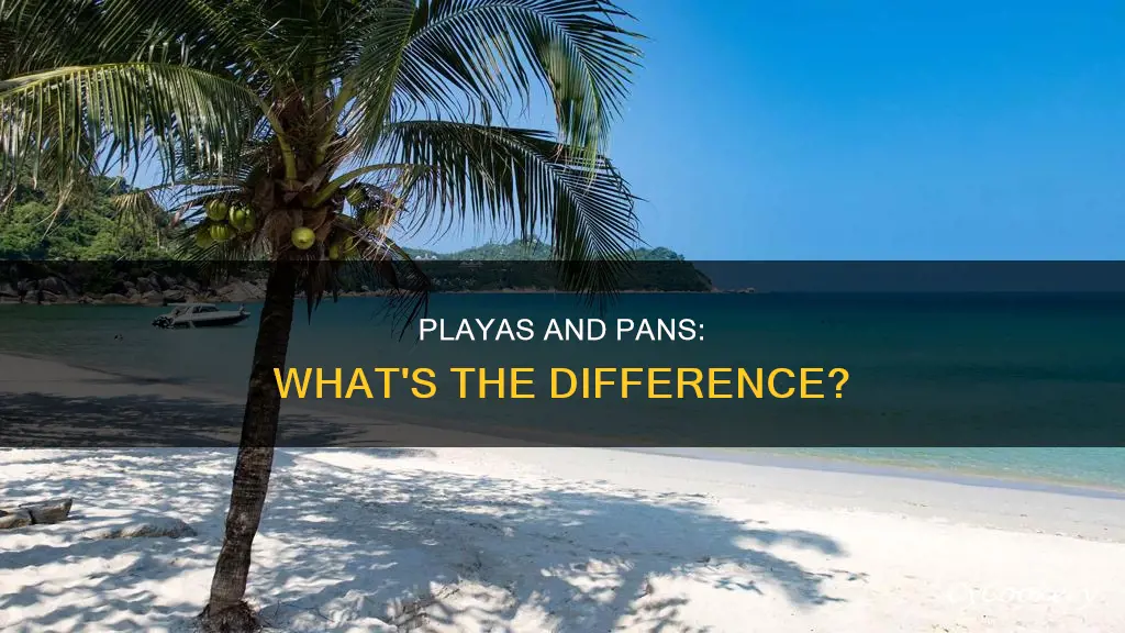 are pans and playas the same