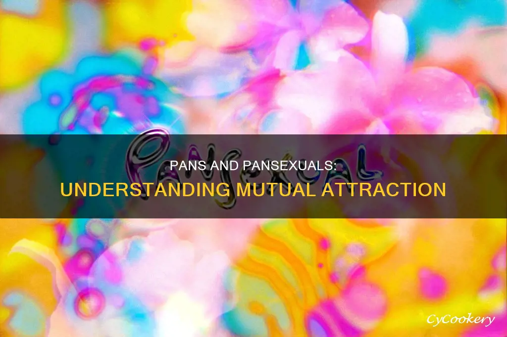 are pans attracted to pans