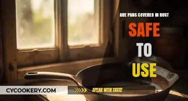 Rusty Pans: Are They Safe for Cooking or a Health Risk?