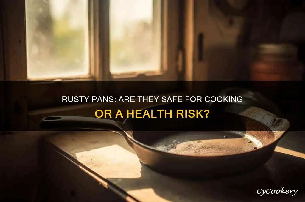 are pans covered in rust safe to use