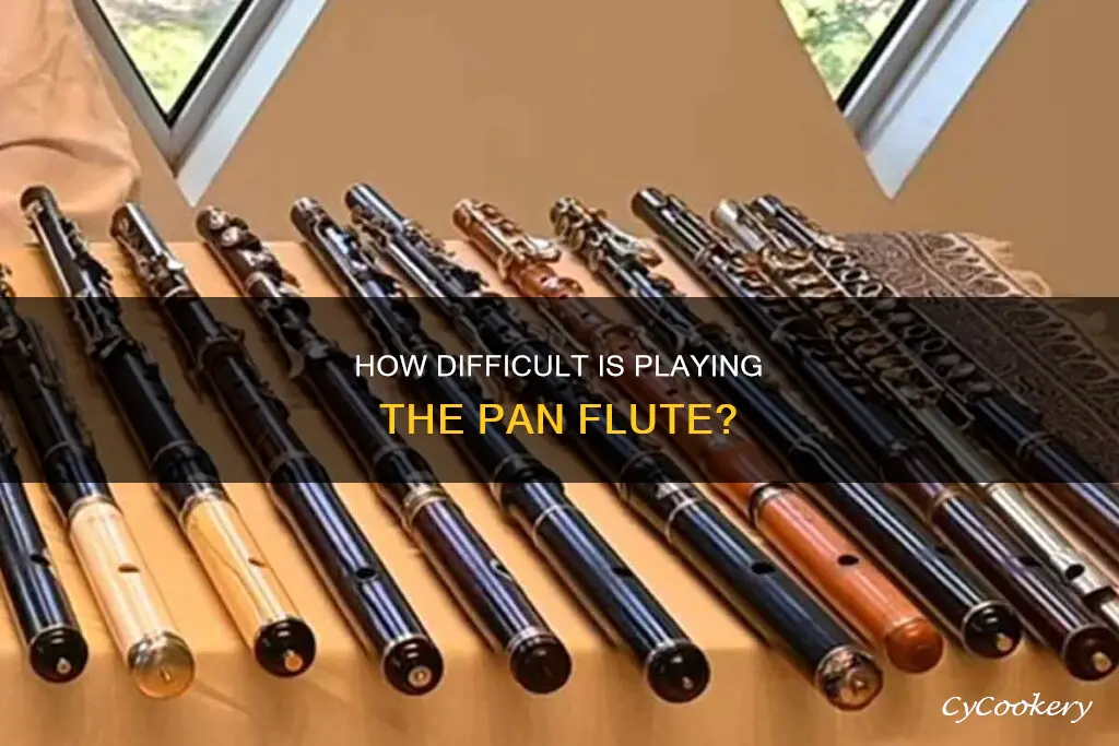 are pans flutes easy to play