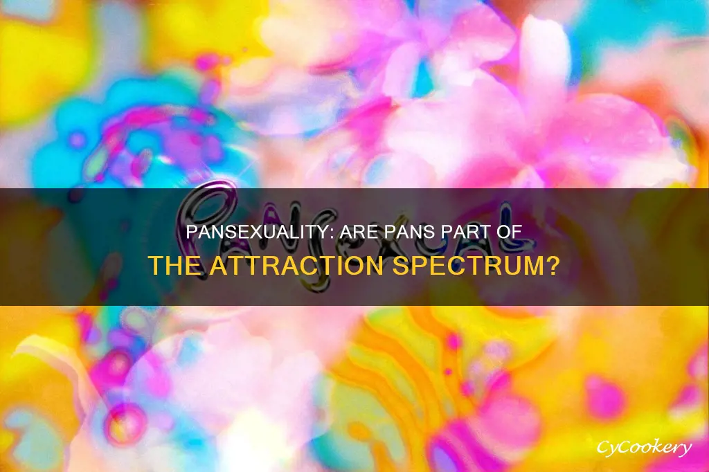 are pansexuals attracted to pans