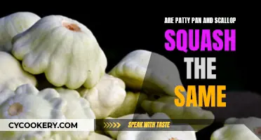 Patty Pan and Scallop Squash: What's the Difference?