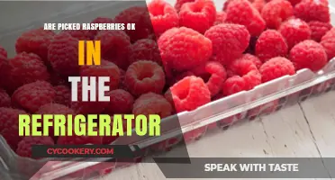 Refrigerating Picked Raspberries: Storage Tips for Freshness and Safety