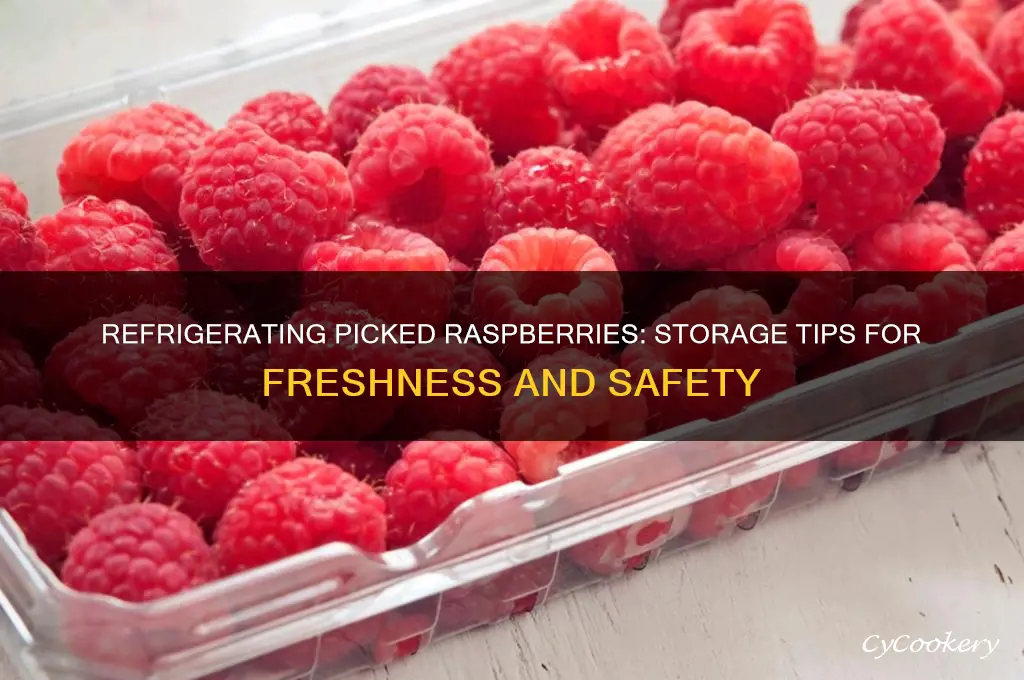 are picked raspberries ok in the refrigerator