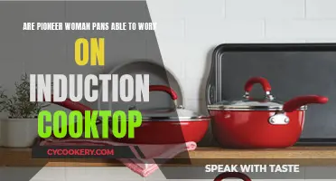 Pioneer Woman Pans: Induction Cooktop Compatible?