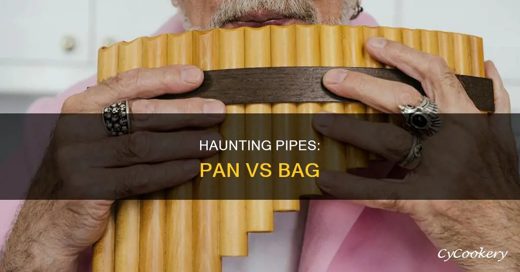 are pipes of haunting pan pipes or bag pipes