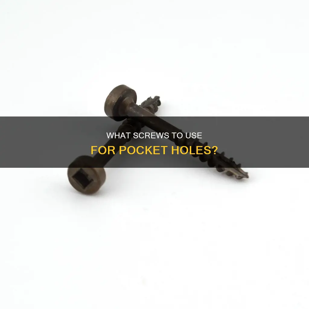 are pocket hole screws just pan head