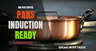 Red Copper Pans: Induction-Ready or Not?