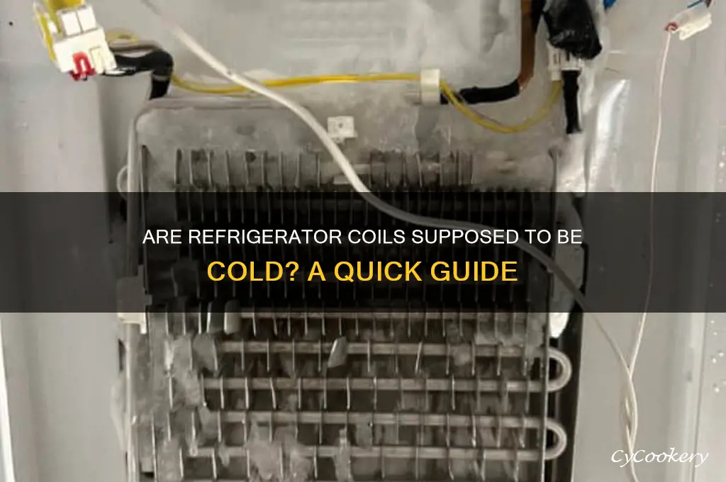 are refrigerator coils supposed to be cold