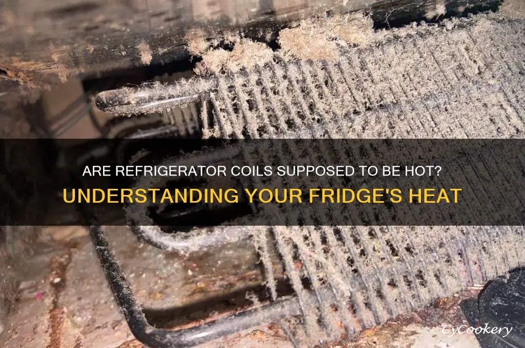 are refrigerator coils supposed to be hot