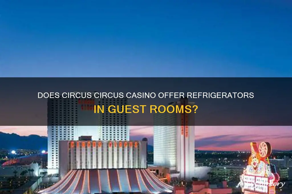 are refrigerator provided at circus circus casino