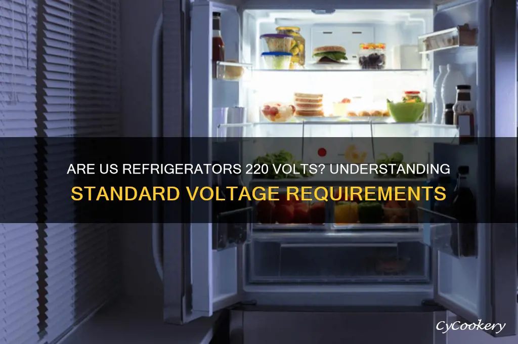are refrigerators 220 volts in the us