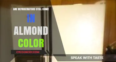 Almond-Colored Refrigerators: Are They Still a Kitchen Option Today?