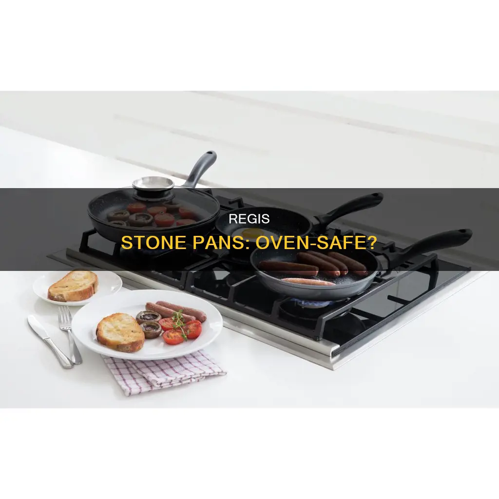 are regis stone pans oven safe