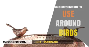 Res Copper Pans: Safe for Birds or Potential Hazard?