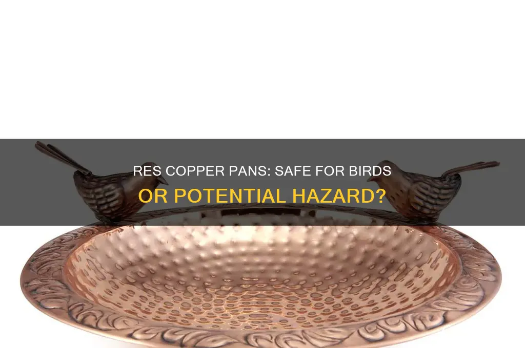 are res copper pans safe for use around birds