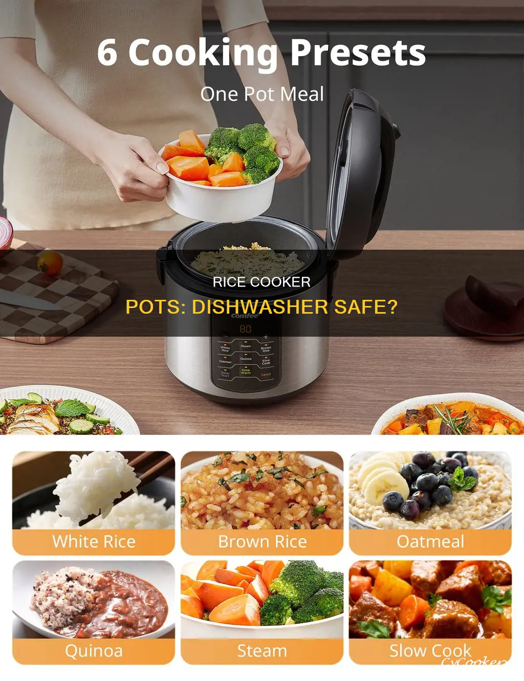 are rice cooker pots dishwasher safe