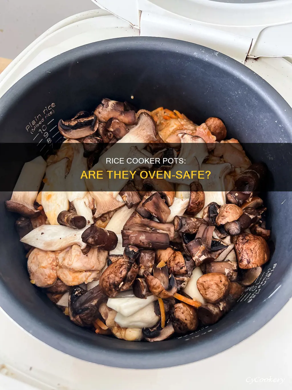 are rice cooker pots oven safe