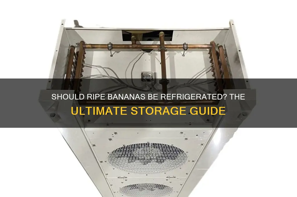 are ripe bananas supposed to be refrigerated