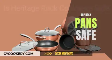 Rock Pans: Safe or Not?