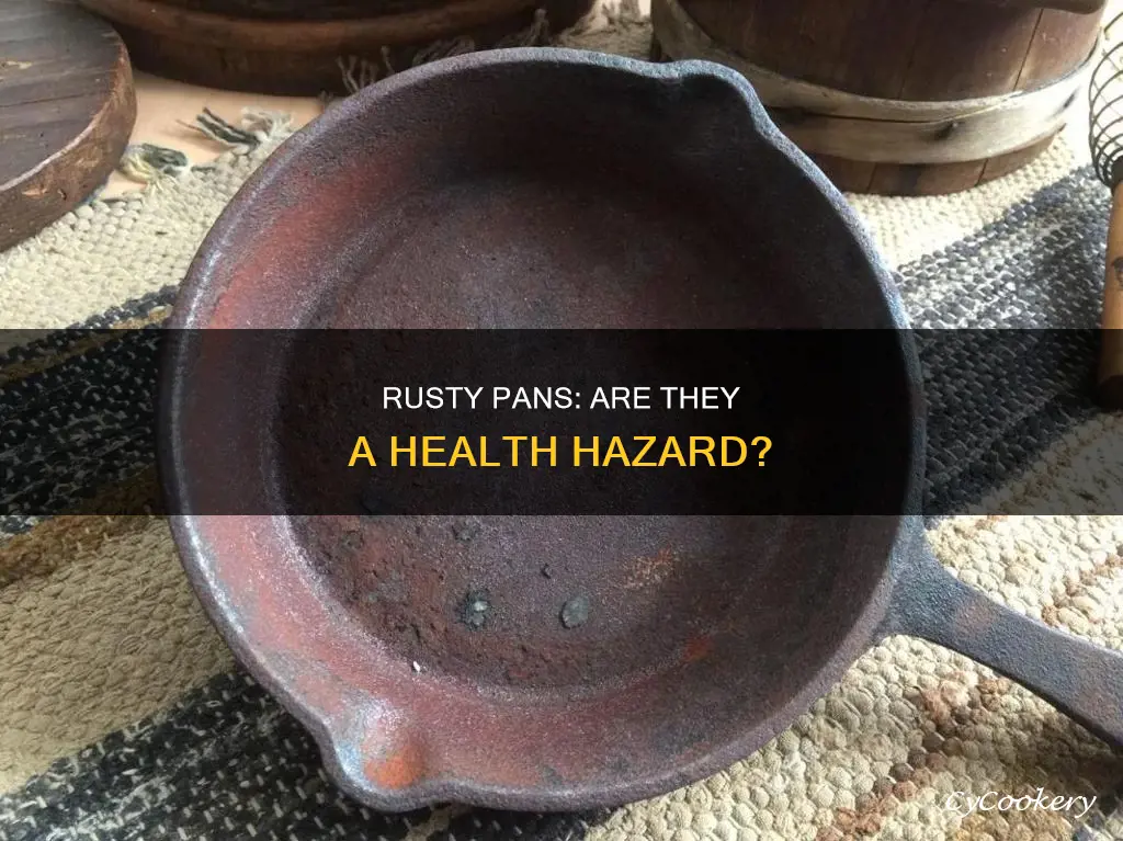 are rusty pans dangerous