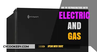 RV Refrigerators: Understanding Electric and Gas Dual Power Options