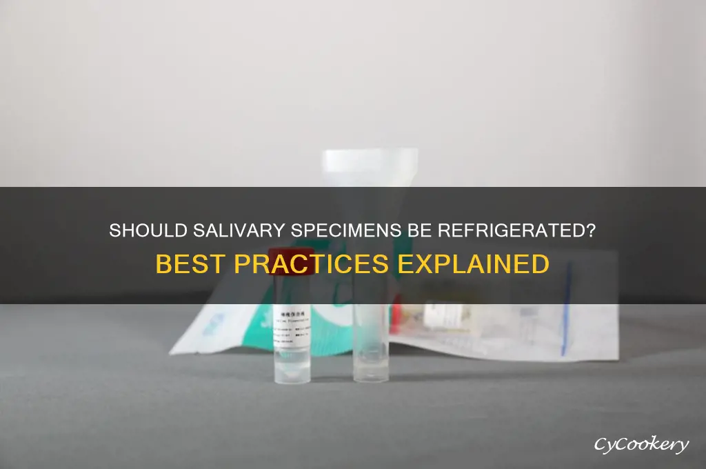 are salivary specimen suppose to be refrigerated