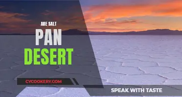 Salt Pan Deserts: Nature's Bleak Beauty
