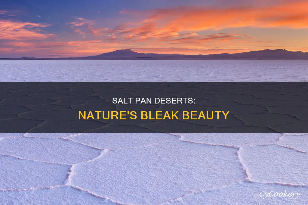 are salt pan desert