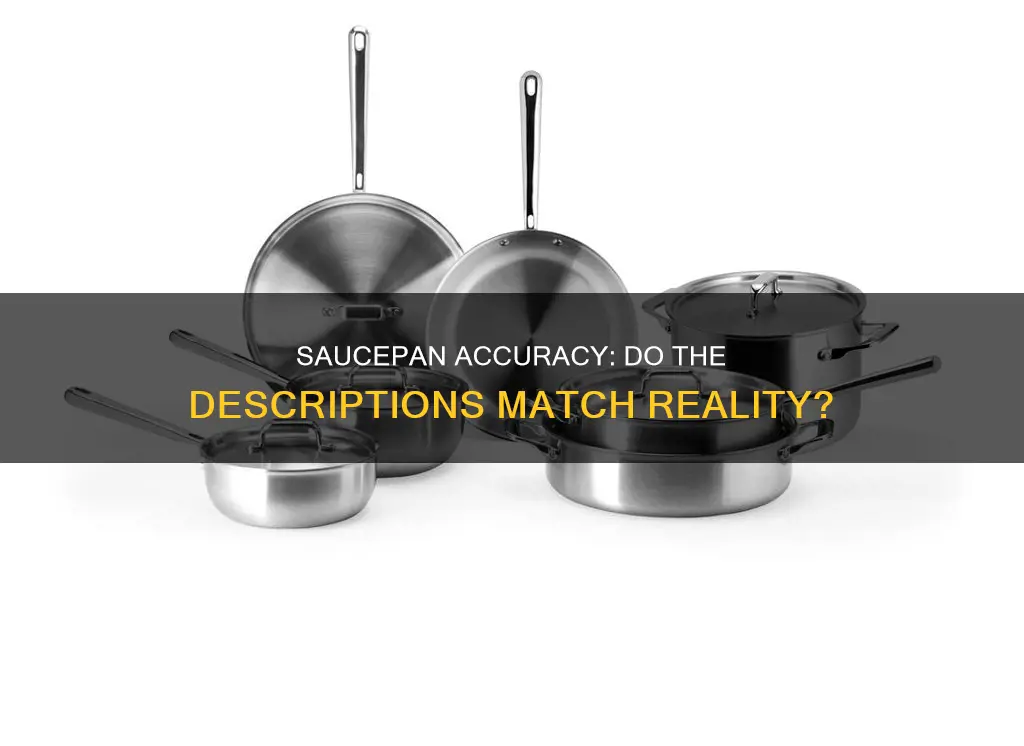 are sauce pan descriptions accureate