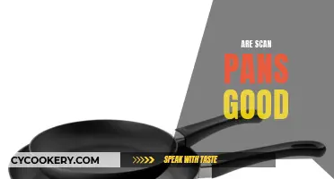 Scan Pans: Worth the Hype?