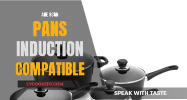 Scan Pans: Induction Compatibility Explored