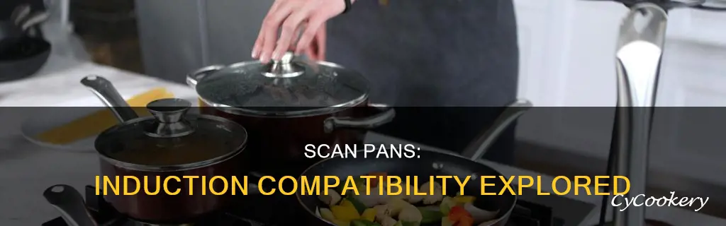 are scan pans induction compatible