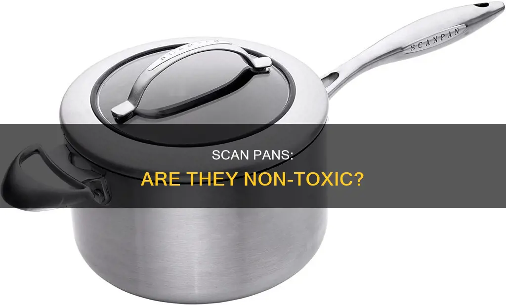 are scan pans non toxic