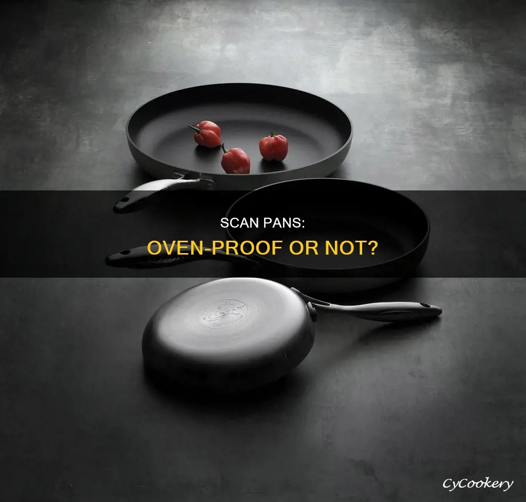 are scan pans oven proof