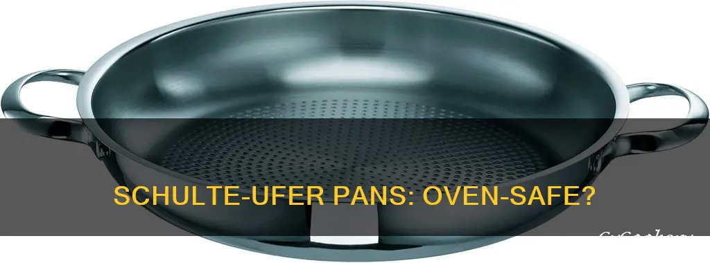 are schulte-ufer pans oven safe