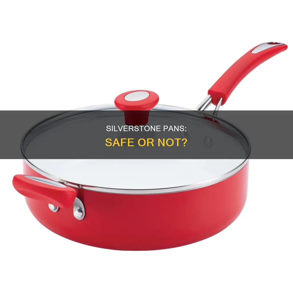 are silverstone pans safe