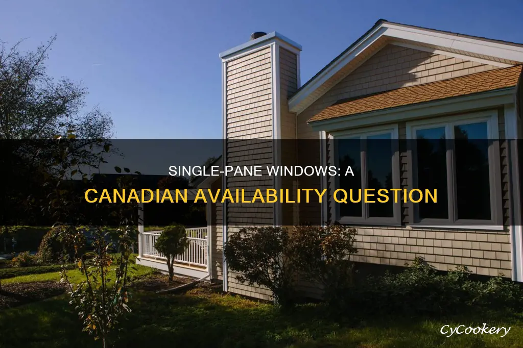 are single pane windows available in canada