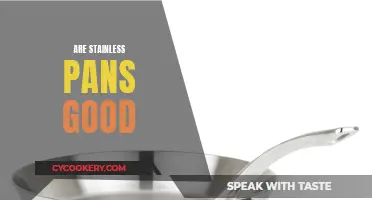 Stainless Steel Pans: Worth the Investment?