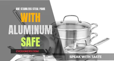 Aluminum and Steel Pans: Safe?