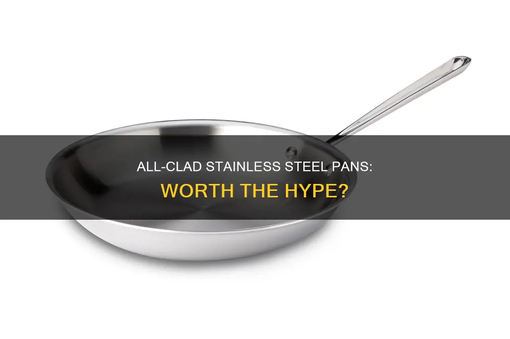 are stainless steel all clad pans good